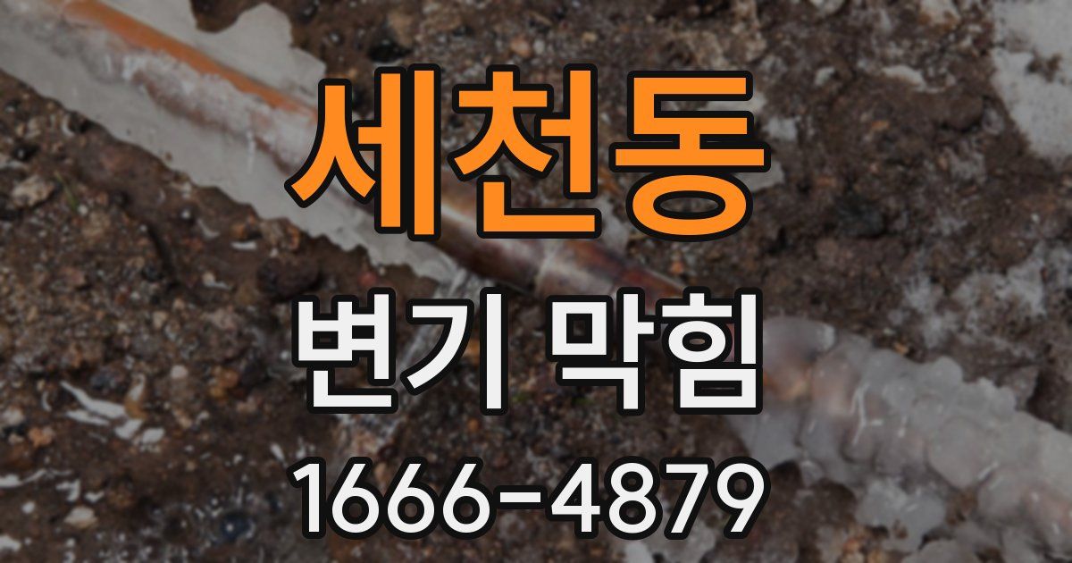 세천동 변기 막힘