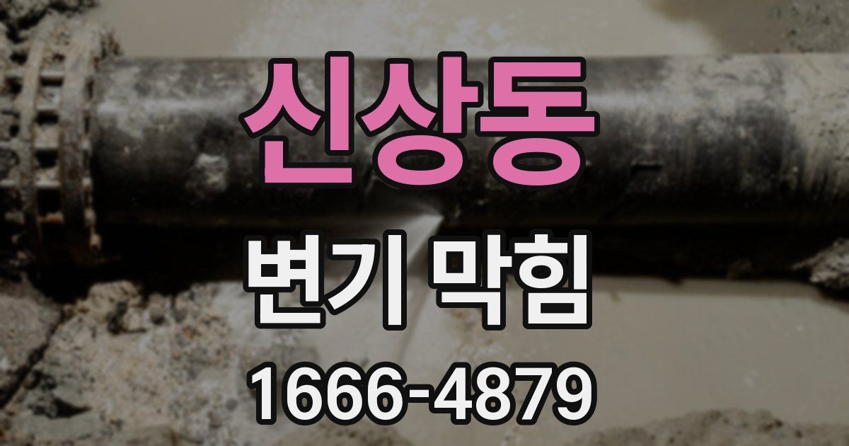신상동 변기 막힘