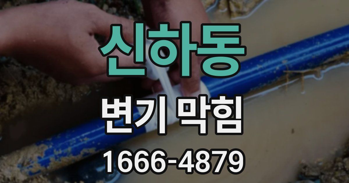 신하동 변기 막힘