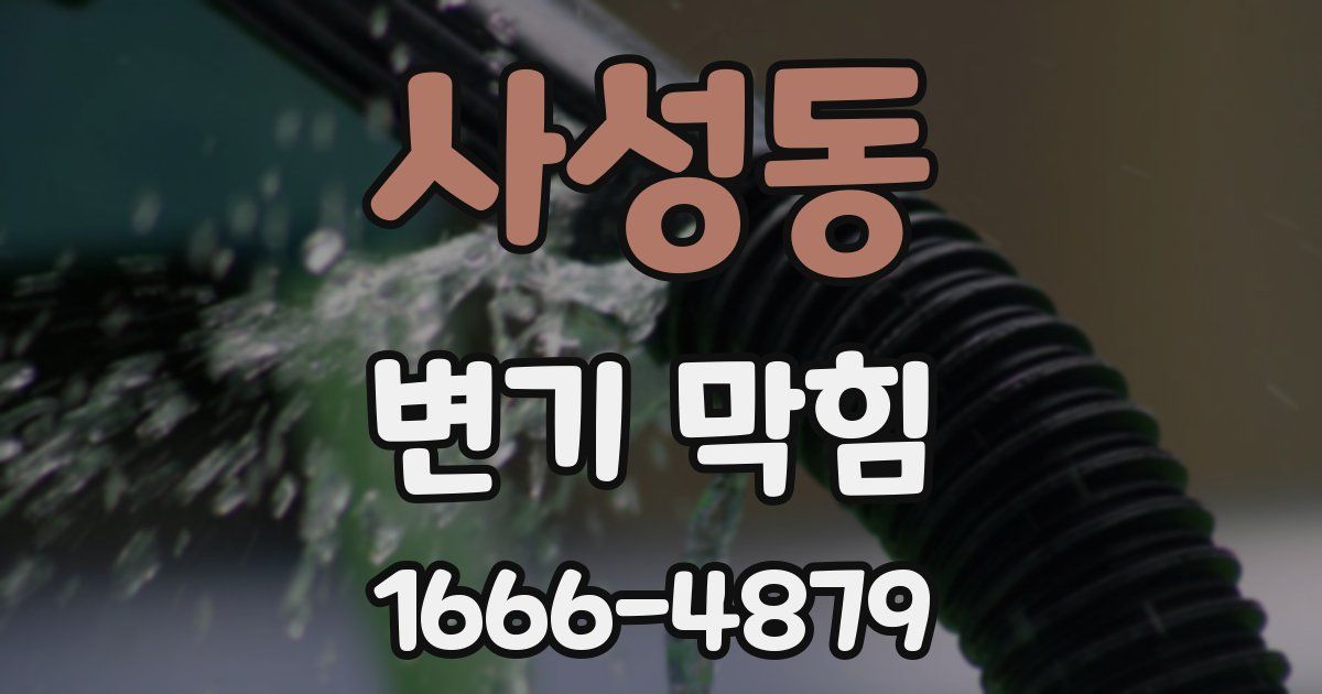 사성동 변기 막힘