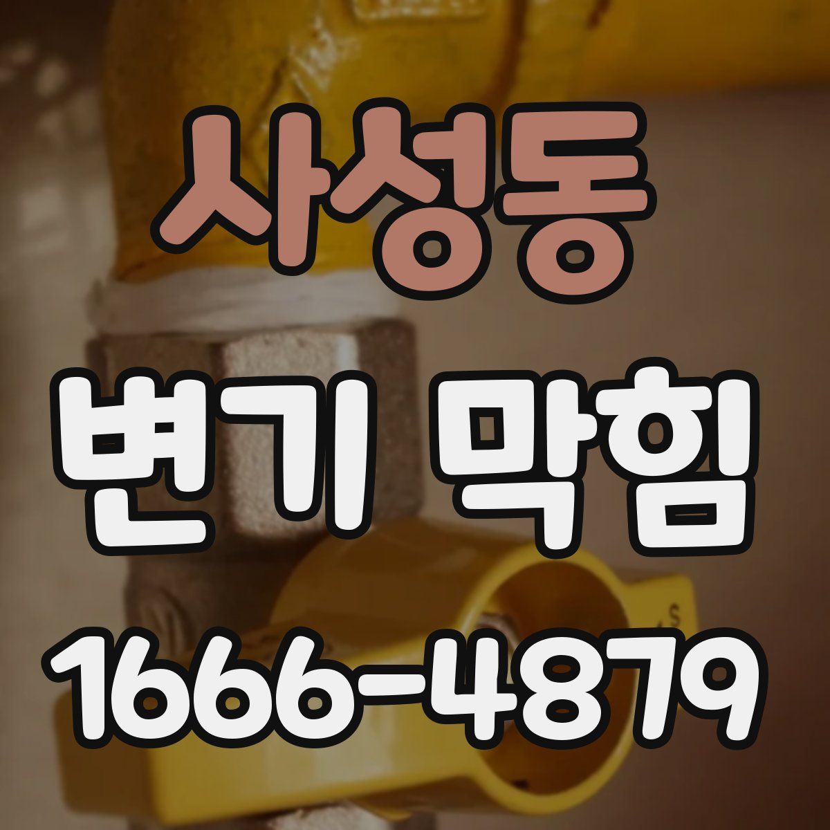 사성동 변기 막힘