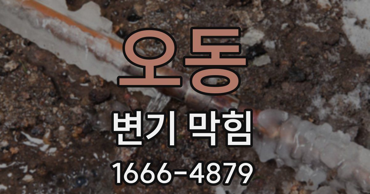 오동 변기 막힘