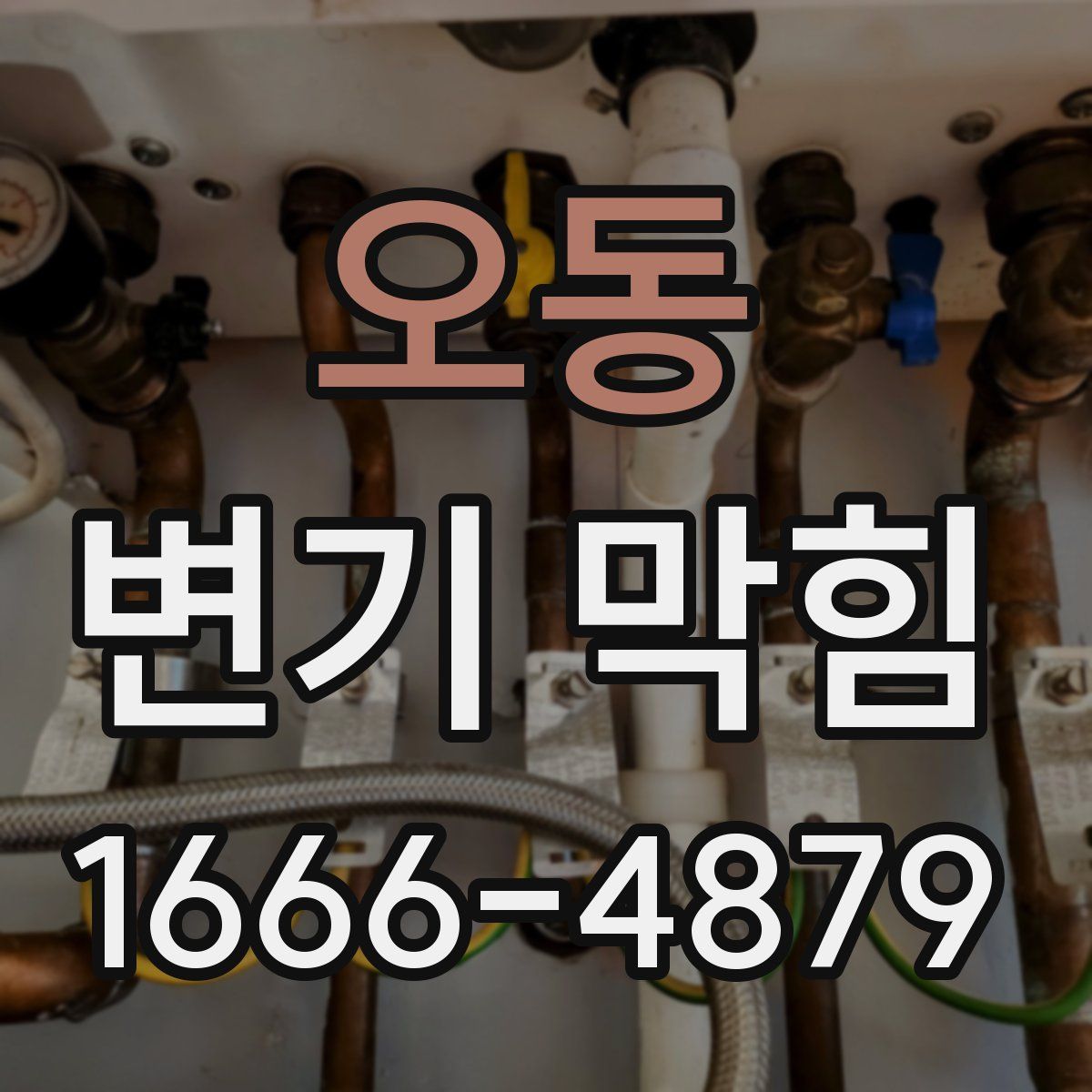 오동 변기 막힘