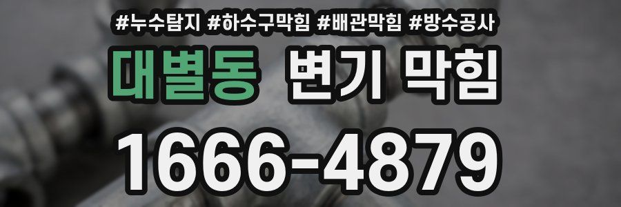 대별동 변기 막힘