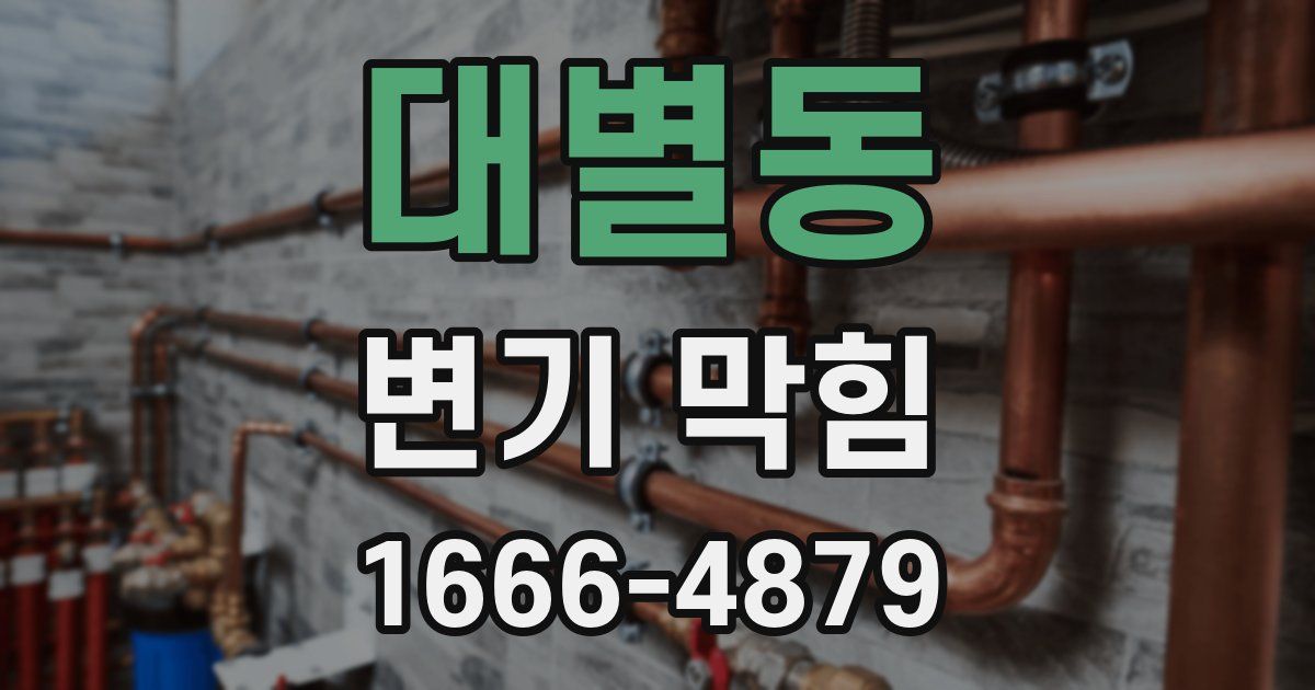 대별동 변기 막힘