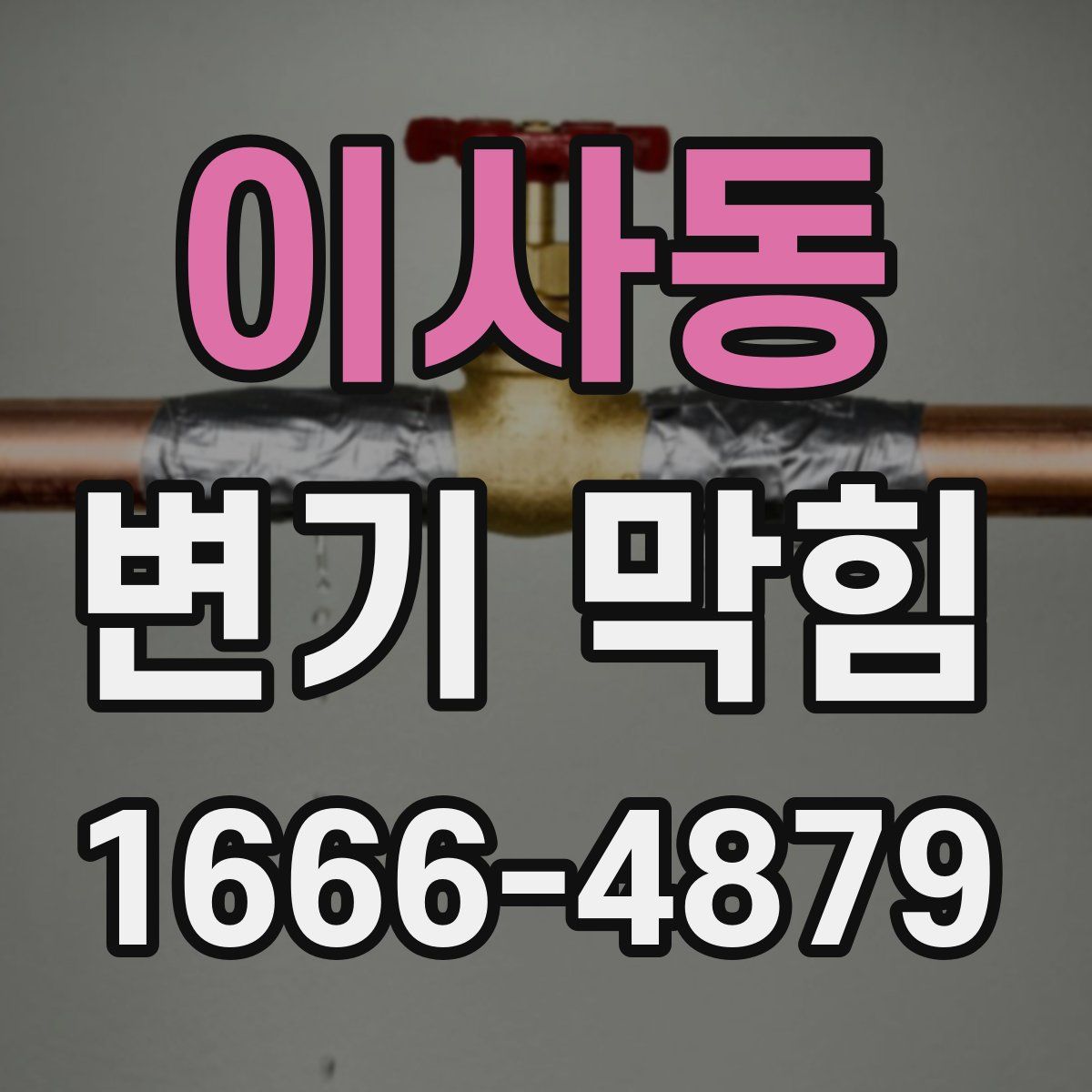 이사동 변기 막힘