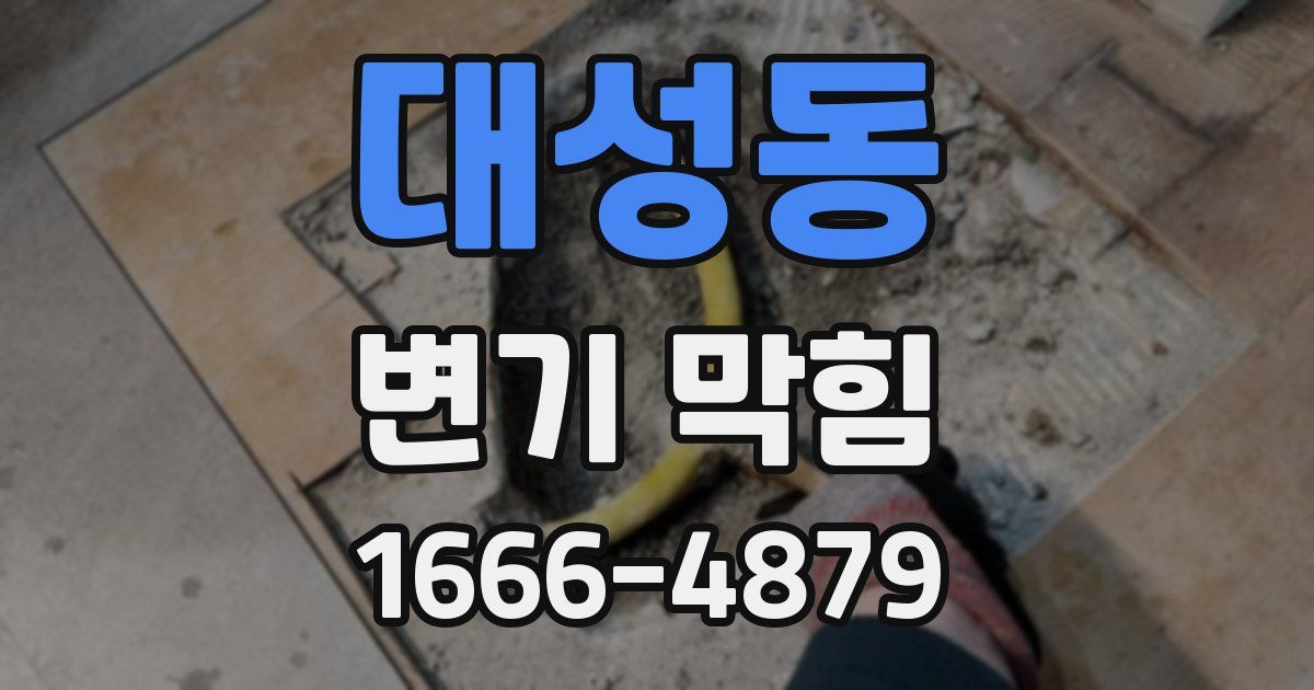 대성동 변기 막힘