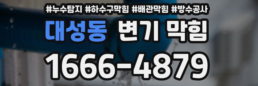 대성동 변기 막힘