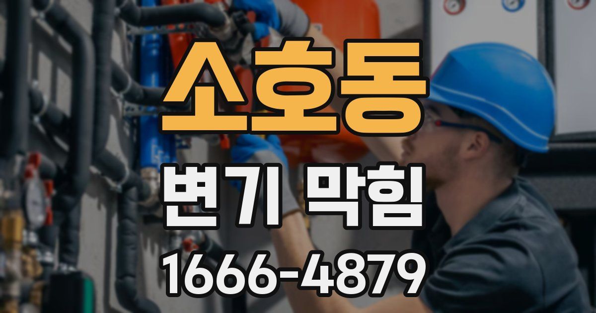 소호동 변기 막힘