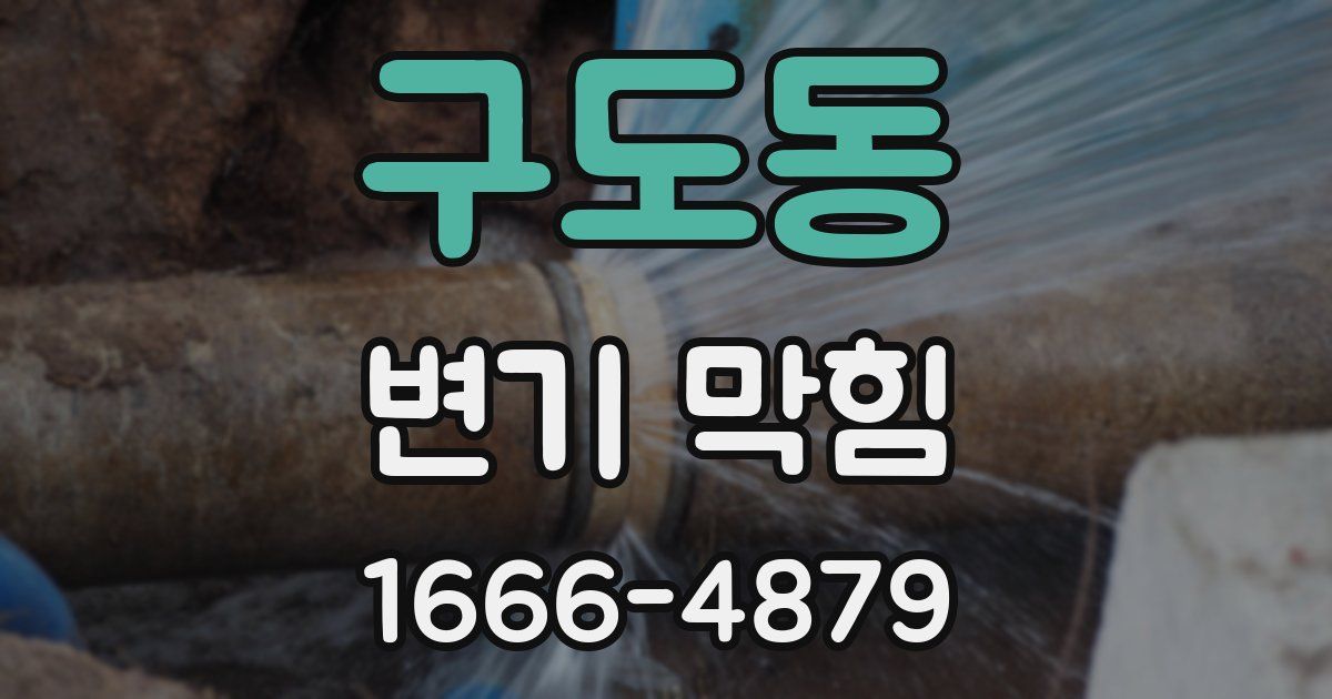 구도동 변기 막힘