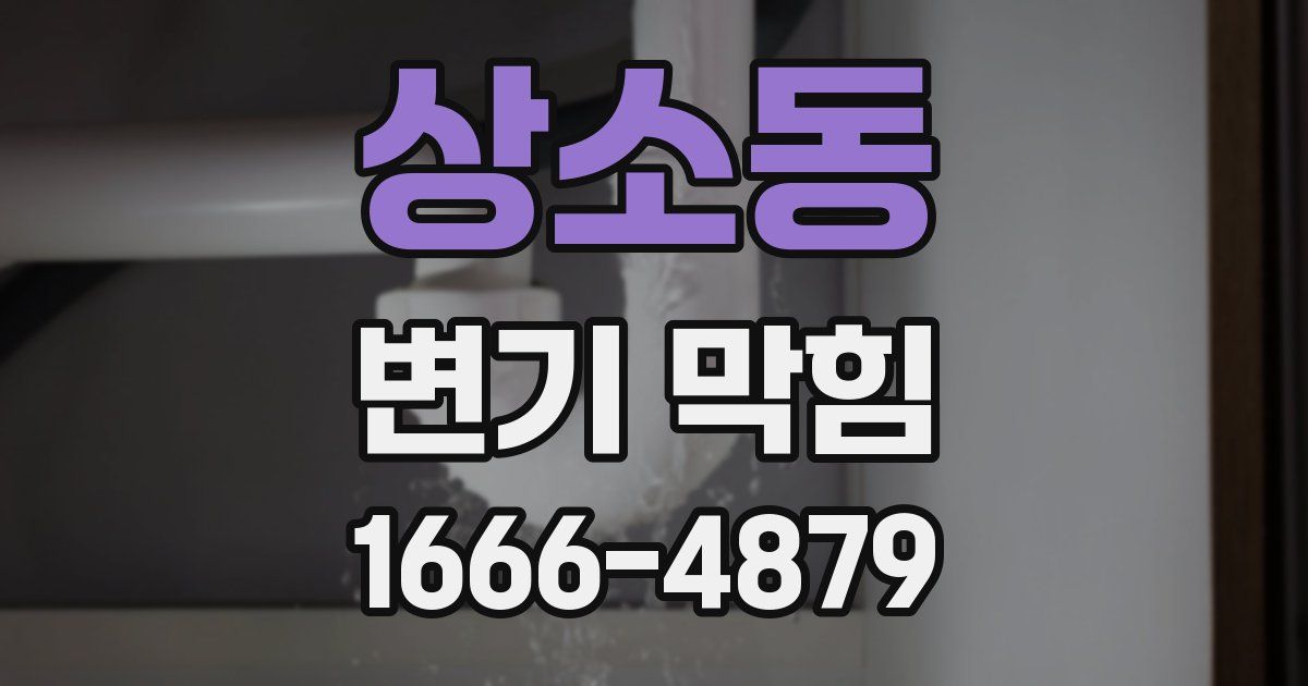 상소동 변기 막힘