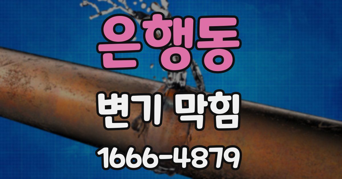 은행동 변기 막힘