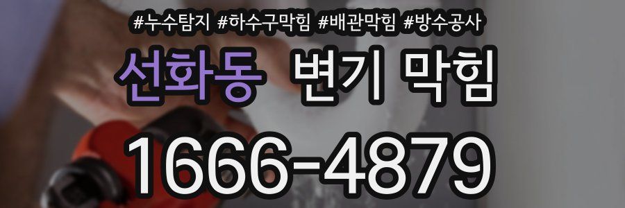 선화동 변기 막힘