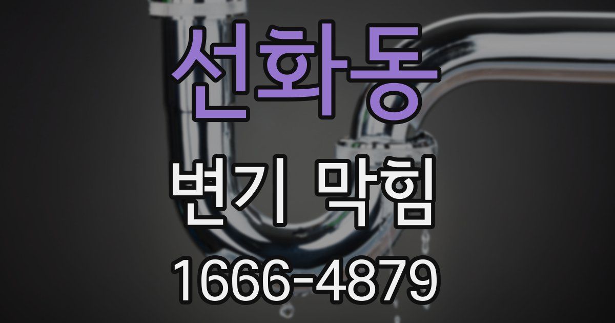 선화동 변기 막힘