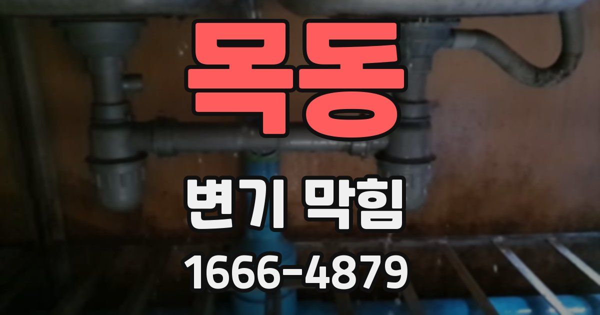 목동 변기 막힘