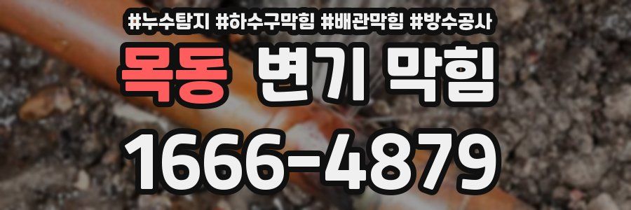 목동 변기 막힘