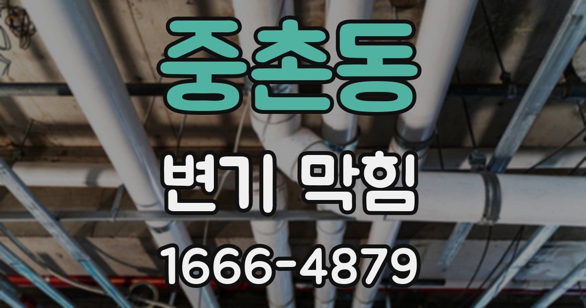 중촌동 변기 막힘