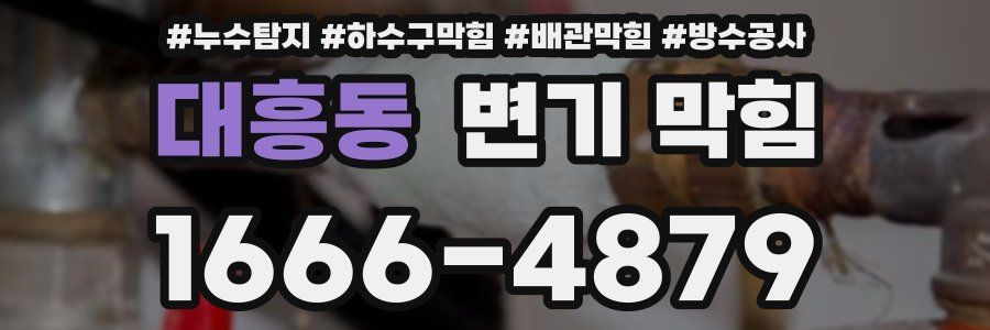 대흥동 변기 막힘