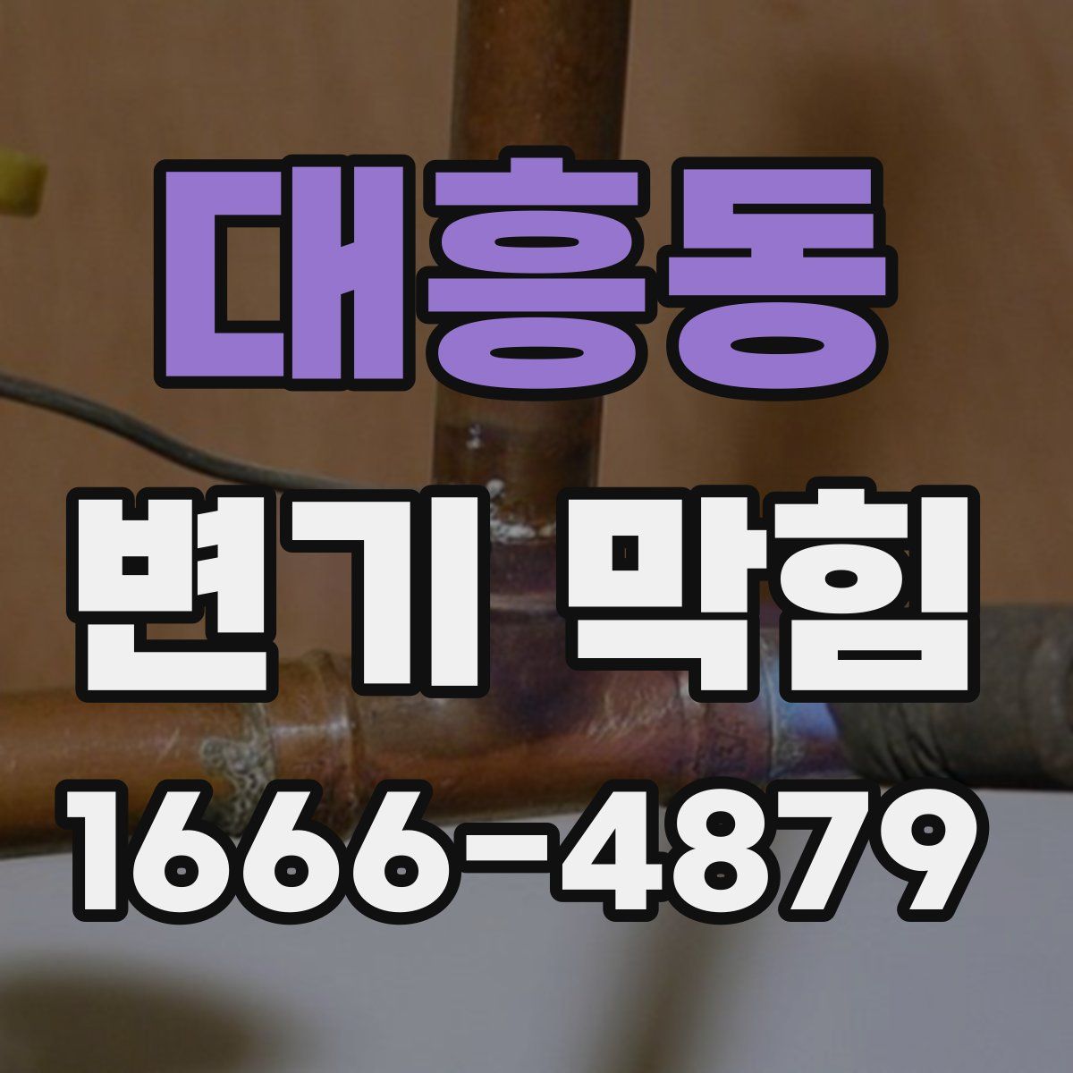 대흥동 변기 막힘