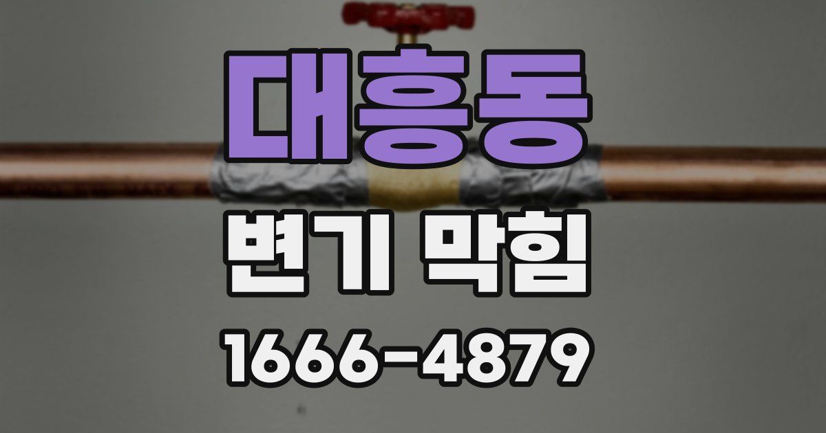 대흥동 변기 막힘