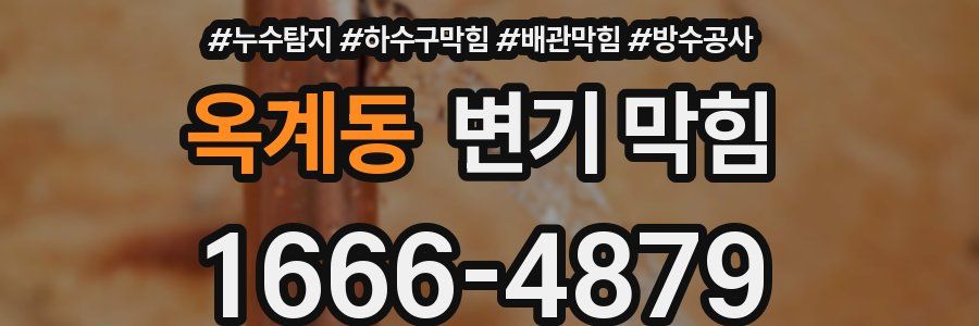 옥계동 변기 막힘