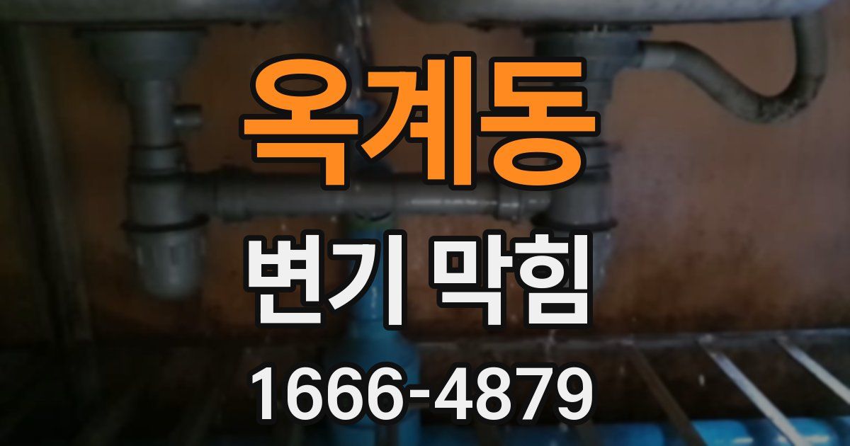 옥계동 변기 막힘