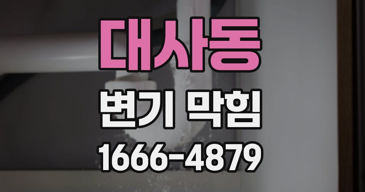 대사동 변기 막힘