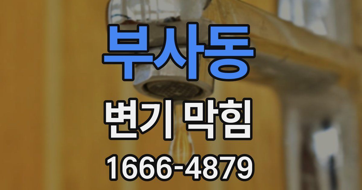 부사동 변기 막힘