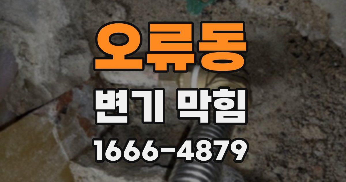 오류동 변기 막힘