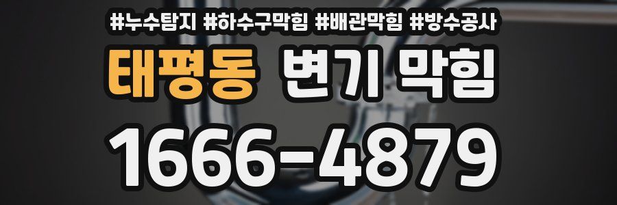 태평동 변기 막힘