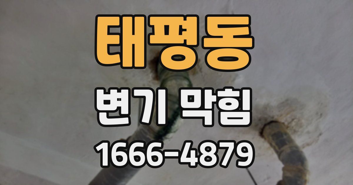 태평동 변기 막힘