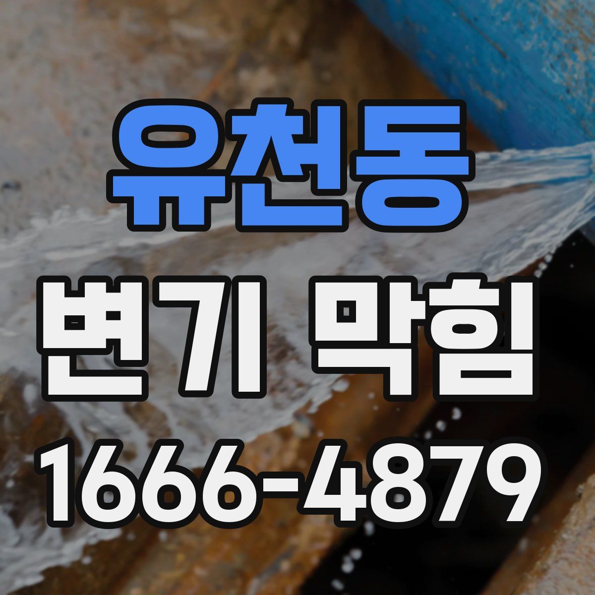 유천동 변기 막힘