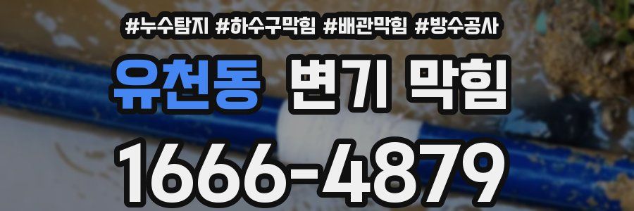 유천동 변기 막힘