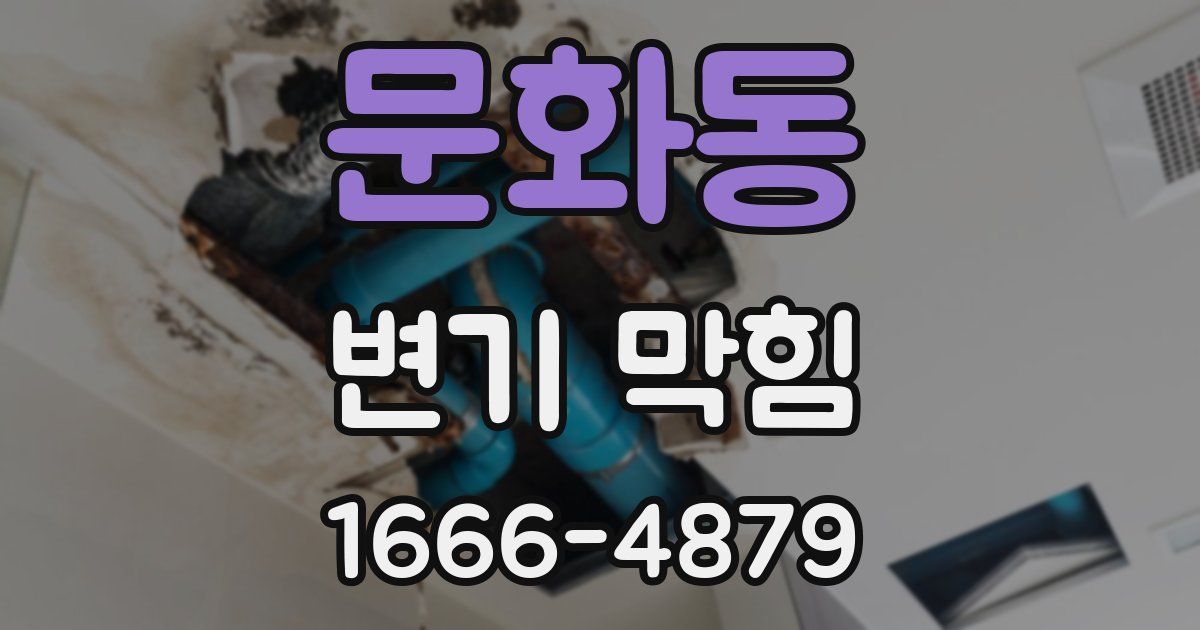 문화동 변기 막힘