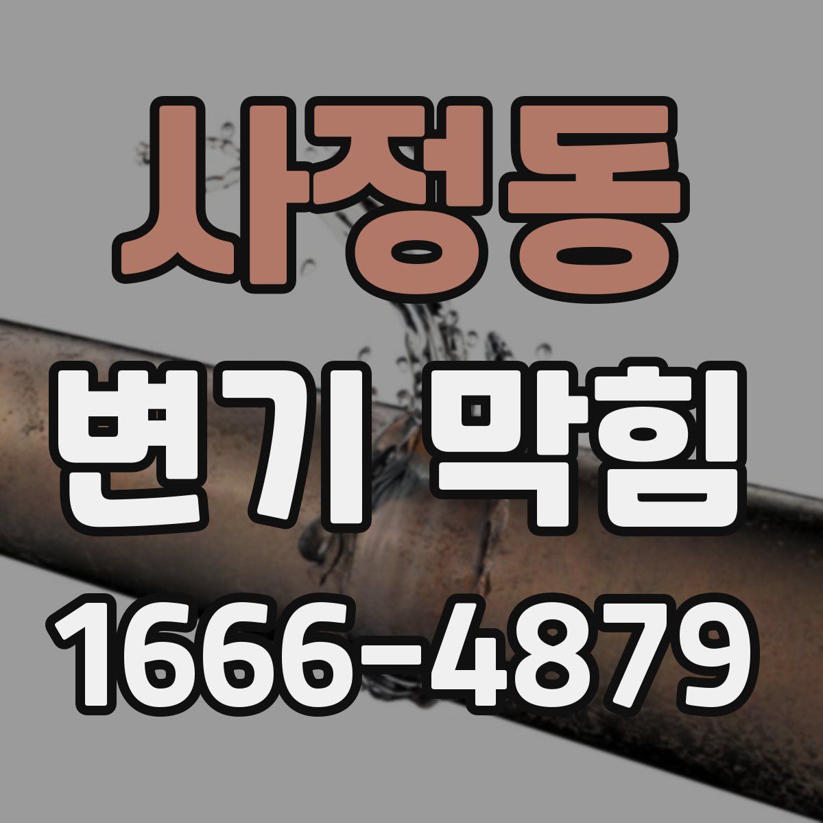 사정동 변기 막힘