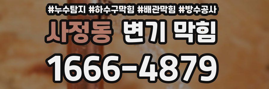 사정동 변기 막힘