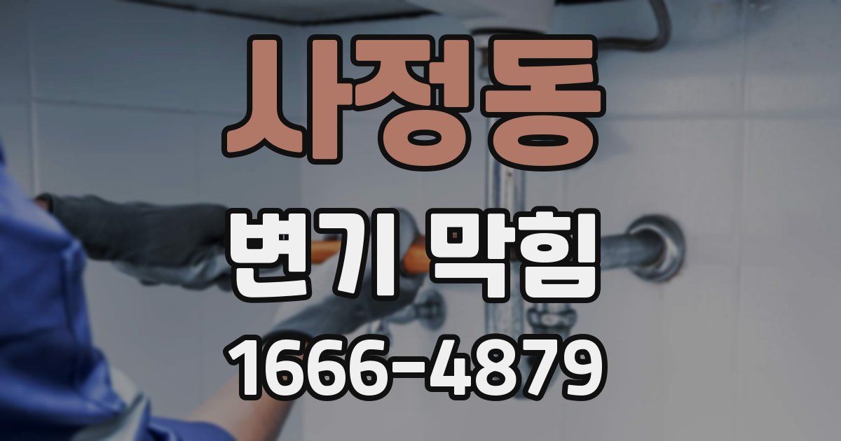 사정동 변기 막힘
