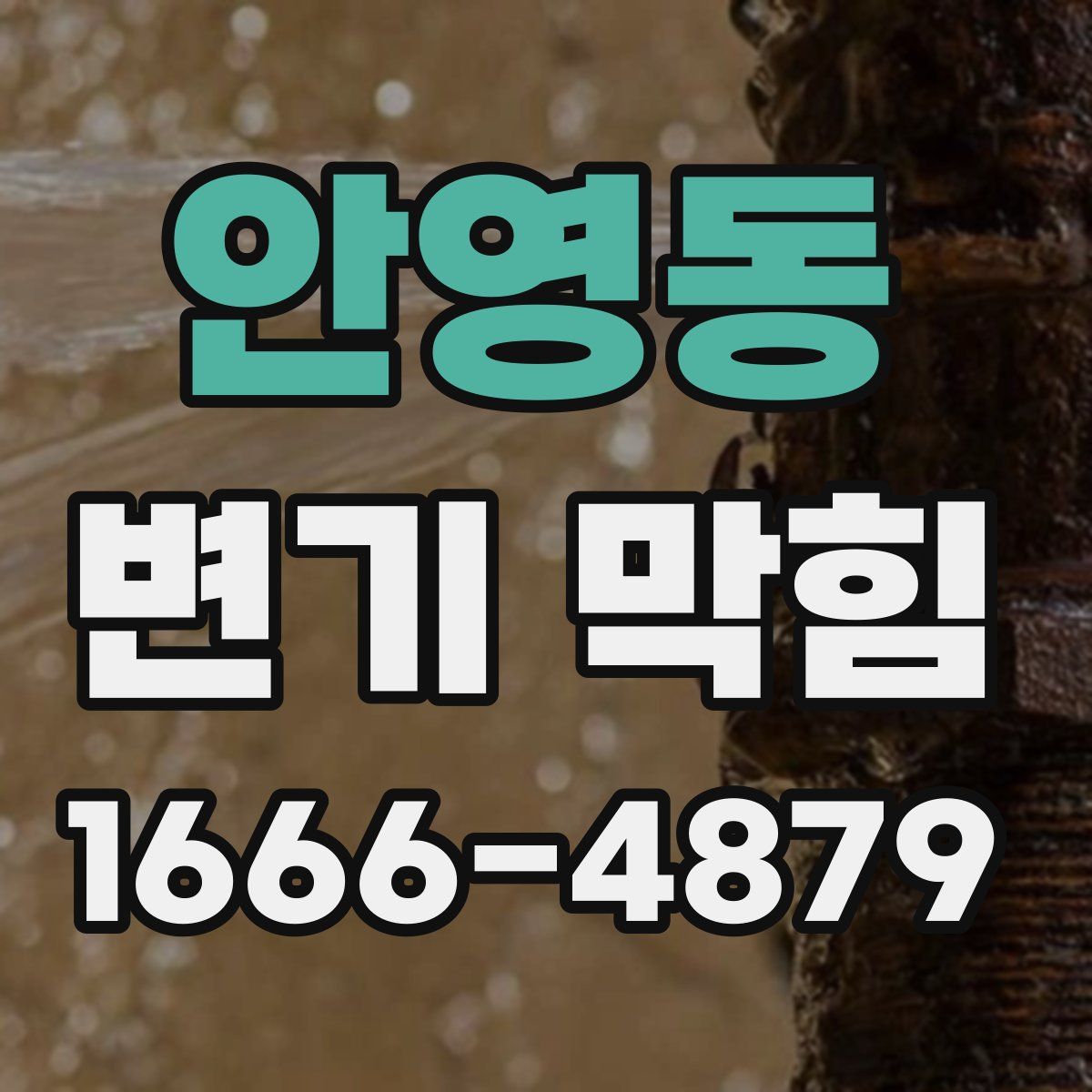 안영동 변기 막힘
