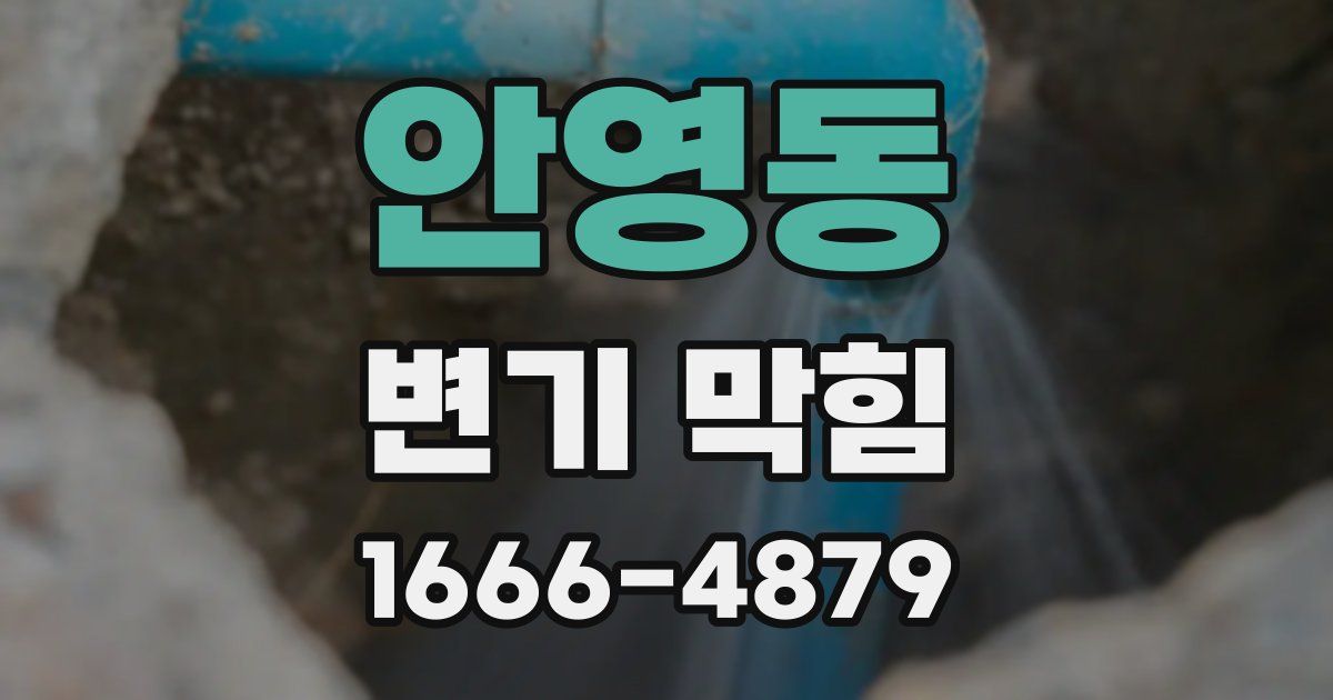 안영동 변기 막힘