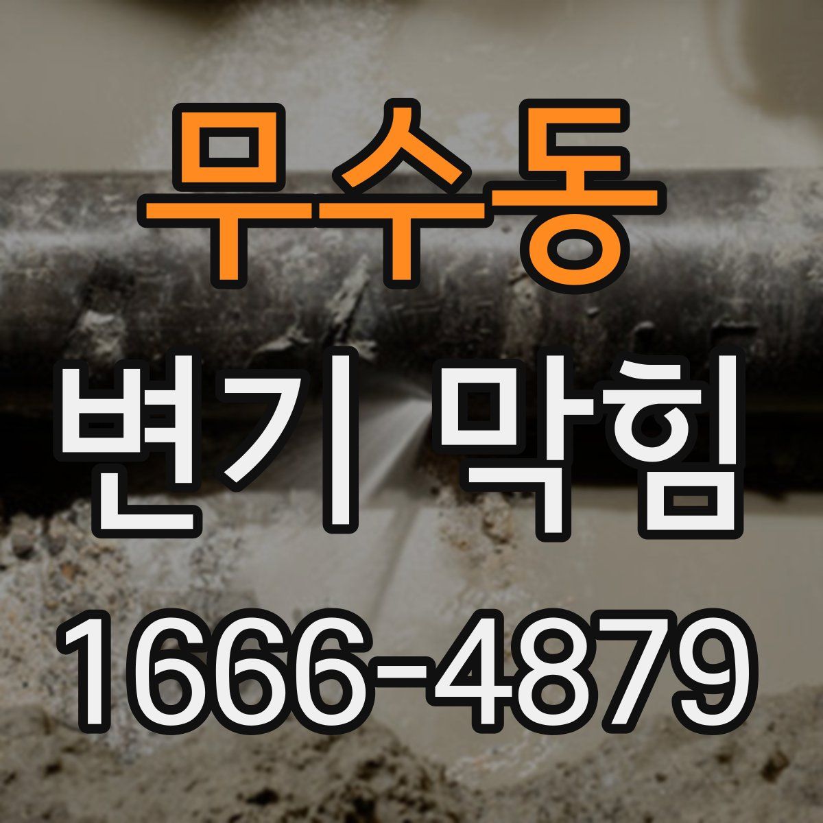 무수동 변기 막힘