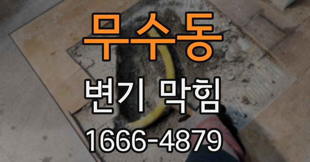무수동 변기 막힘