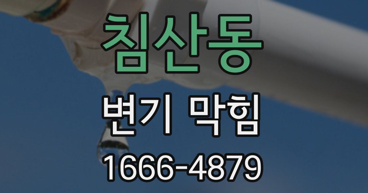 침산동 변기 막힘