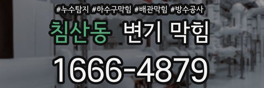 침산동 변기 막힘