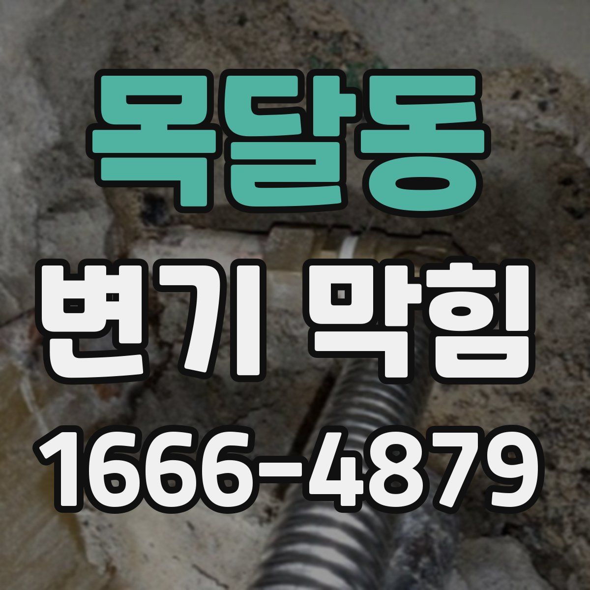 목달동 변기 막힘