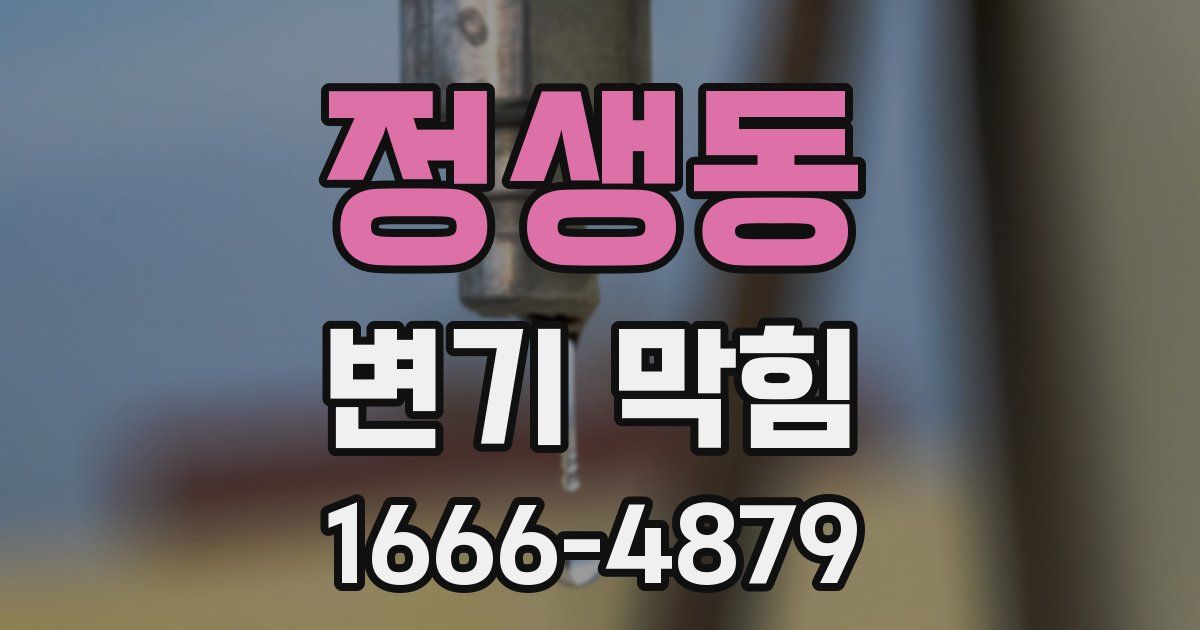 정생동 변기 막힘