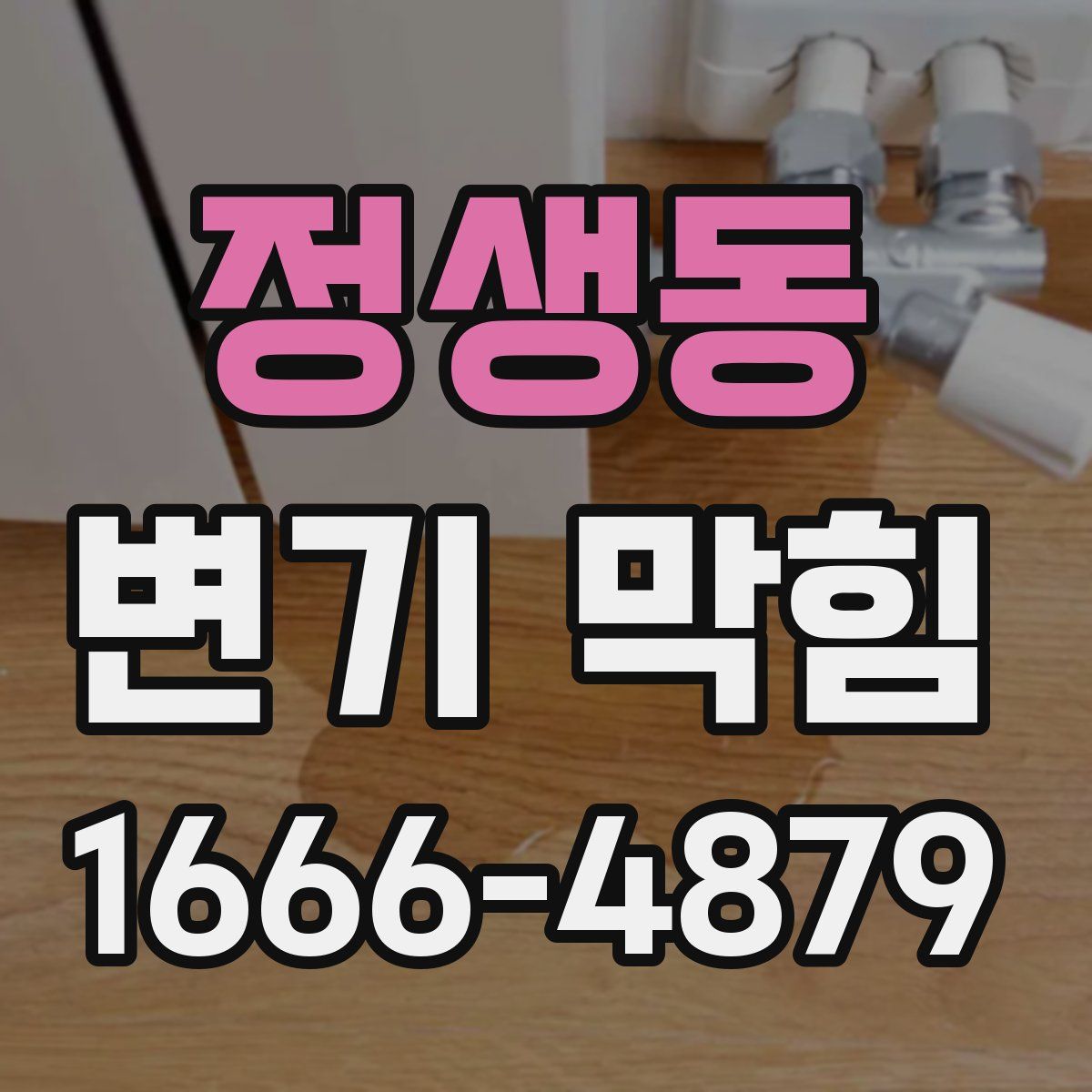 정생동 변기 막힘