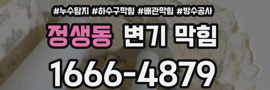 정생동 변기 막힘