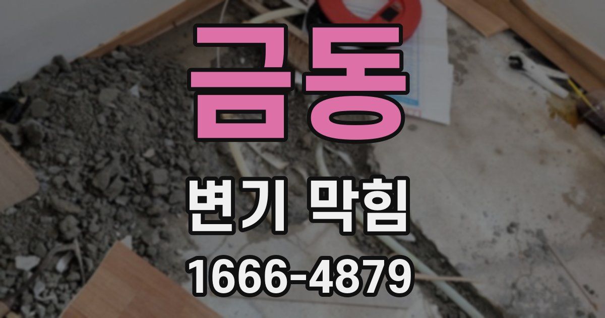 금동 변기 막힘