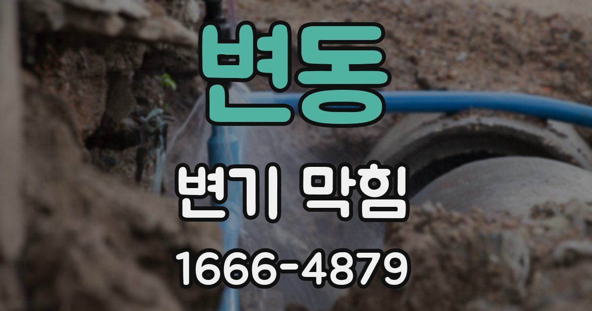 변동 변기 막힘