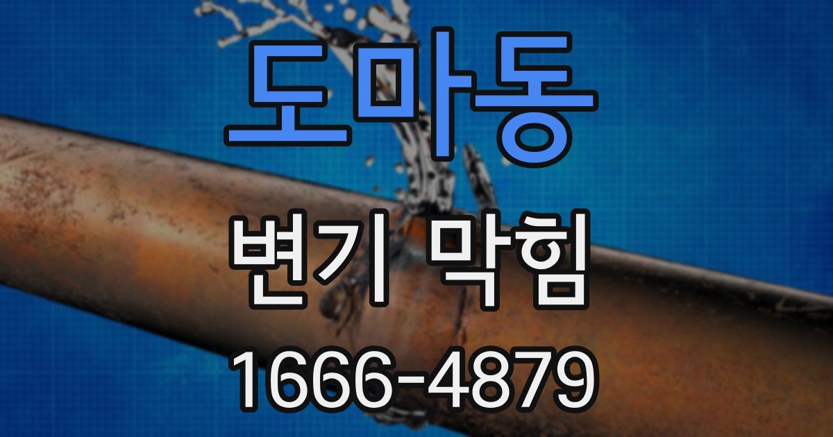 도마동 변기 막힘